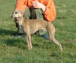 Galería de Alkmene Ein Goldkind