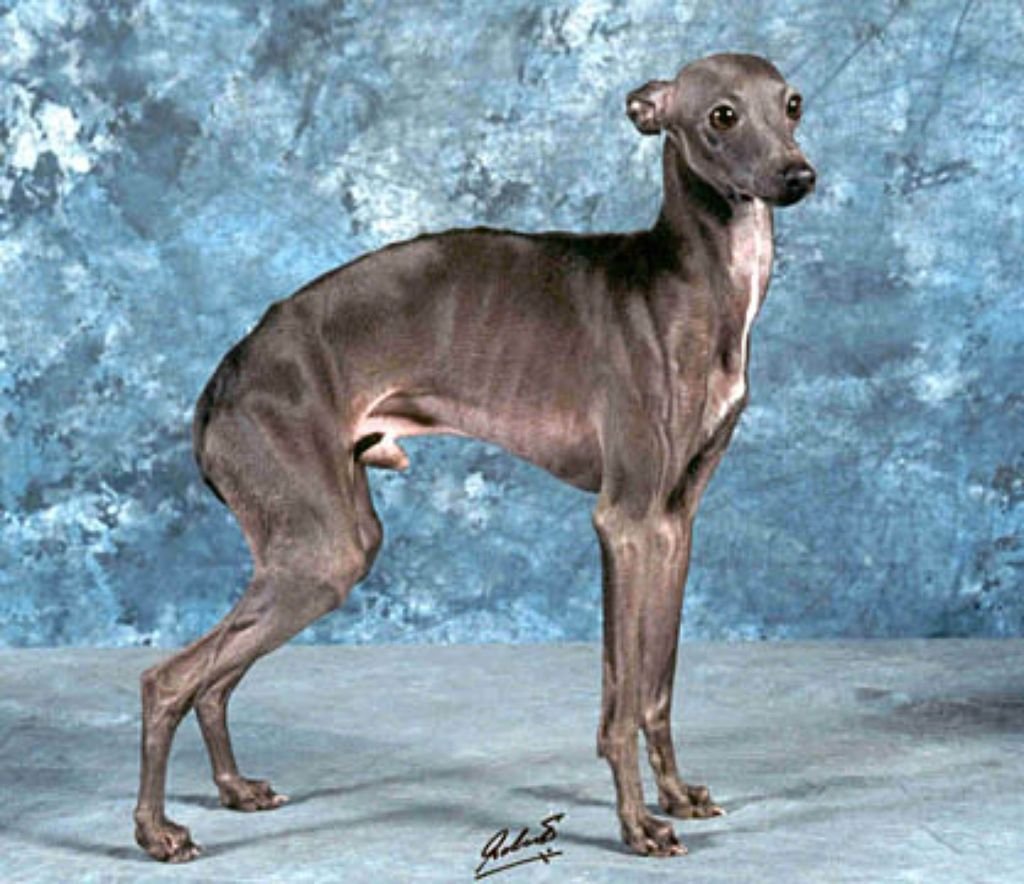 Galería de Dark Legend’s Fairytale