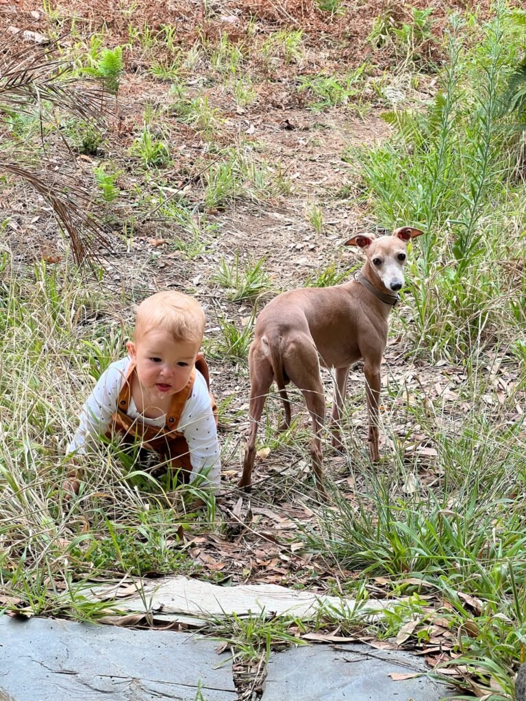 Galería de Sirio de l’argenteria