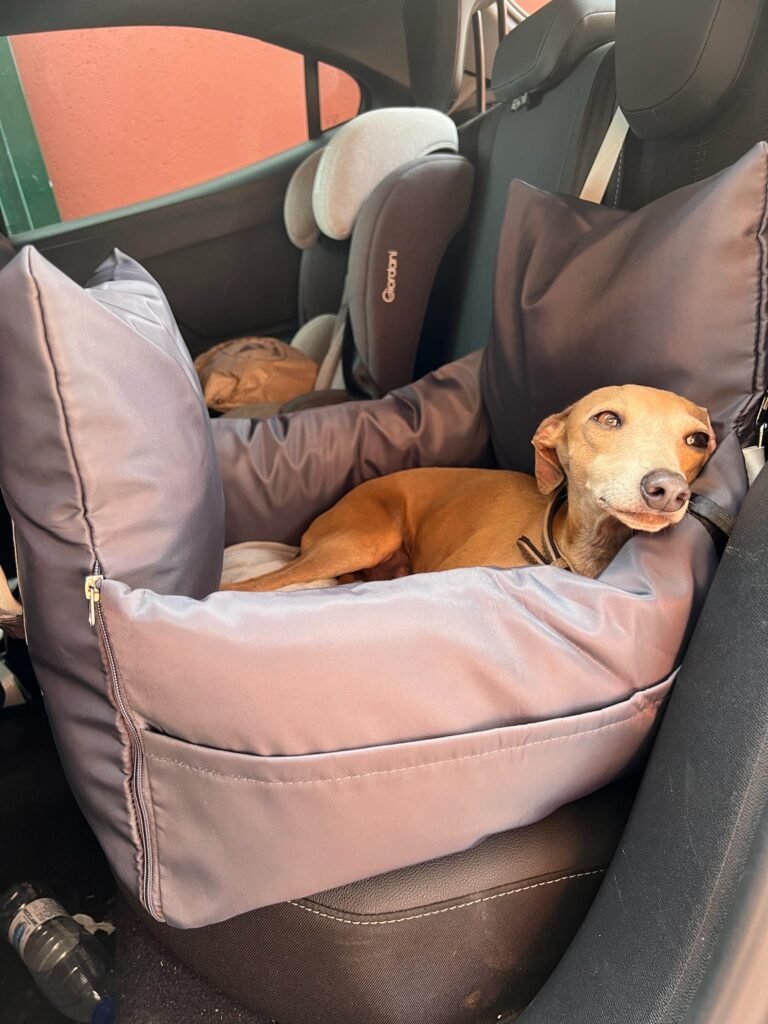 Galería de Sirio de l’argenteria